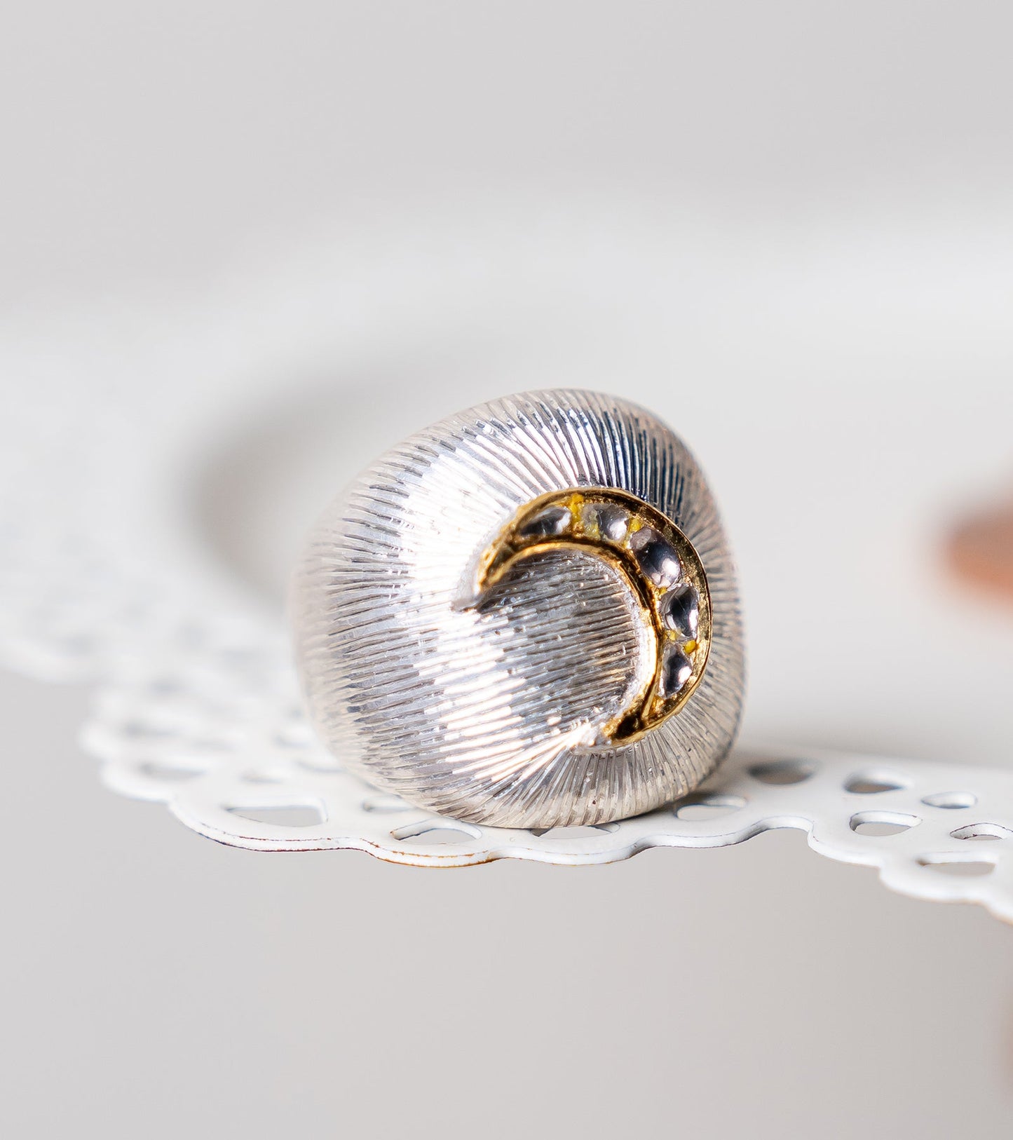 Eli Ring | UBAA